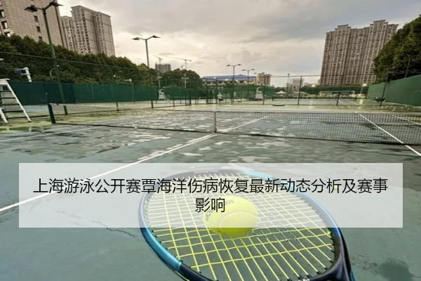 上海游泳公开赛覃海洋伤病恢复最新动态分析及赛事影响